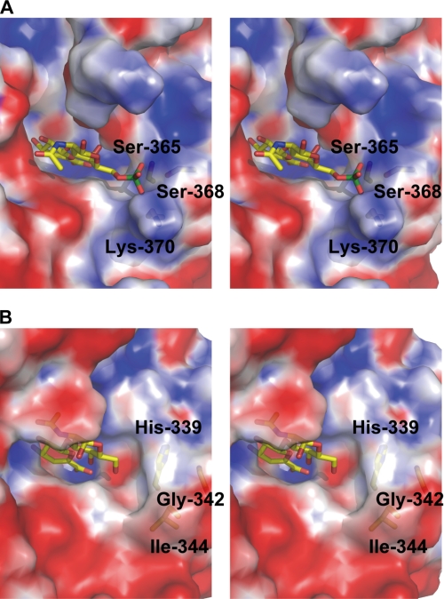 FIGURE 4.