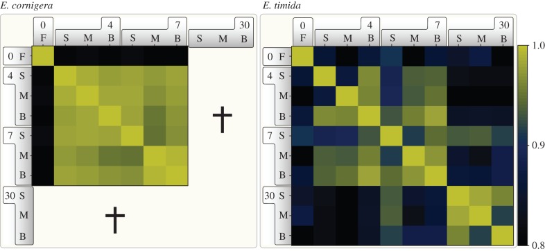 Figure 2.