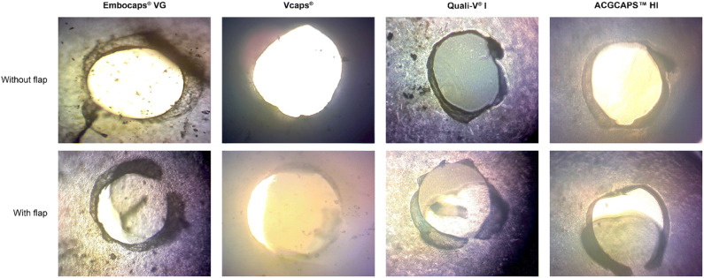 Fig. 6