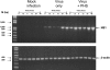 FIG. 5.