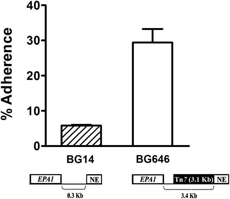 Figure 3 