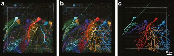 Fig. 3.