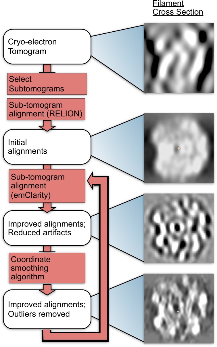 Figure 2—figure supplement 1.