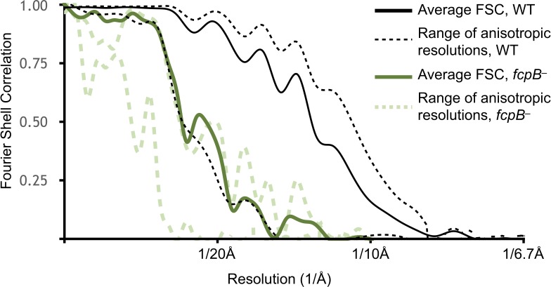 Figure 2—figure supplement 3.