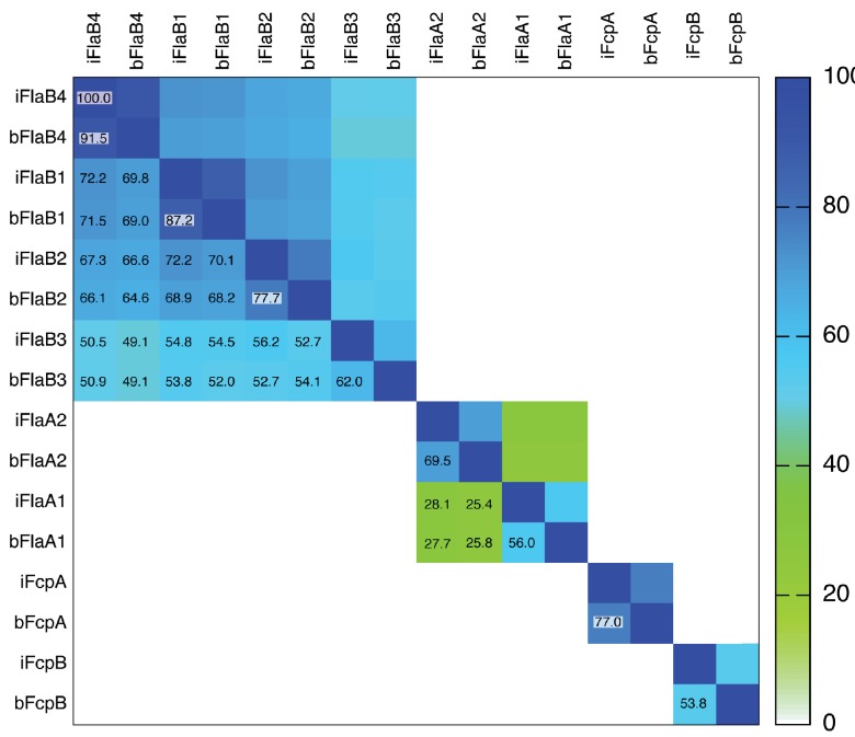 Figure 1—figure supplement 2.