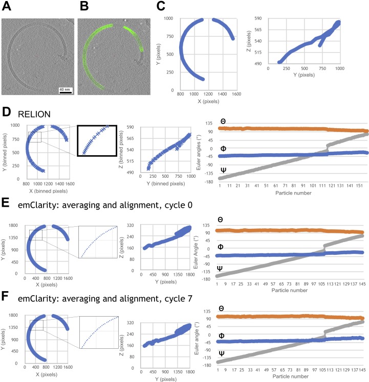 Figure 2—figure supplement 2.