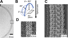 Figure 1—figure supplement 1.