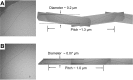 Figure 5—figure supplement 4.