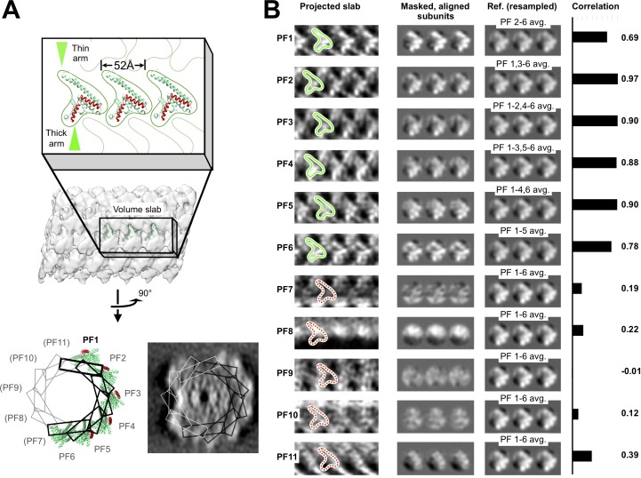 Figure 3—figure supplement 3.