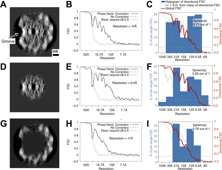 Figure 2—figure supplement 5.