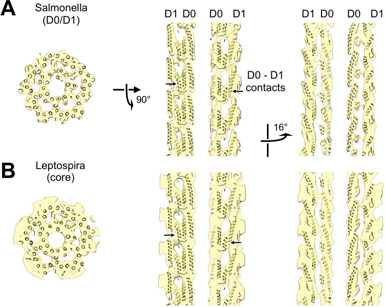 Figure 3—figure supplement 6.