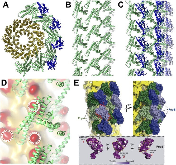 Figure 4.