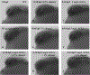 Figure 5: