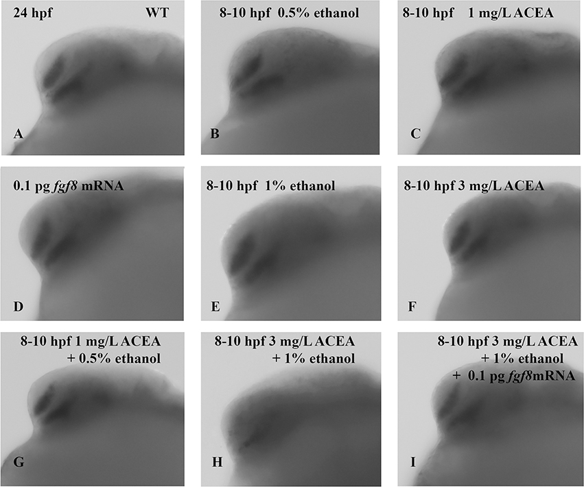 Figure 5: