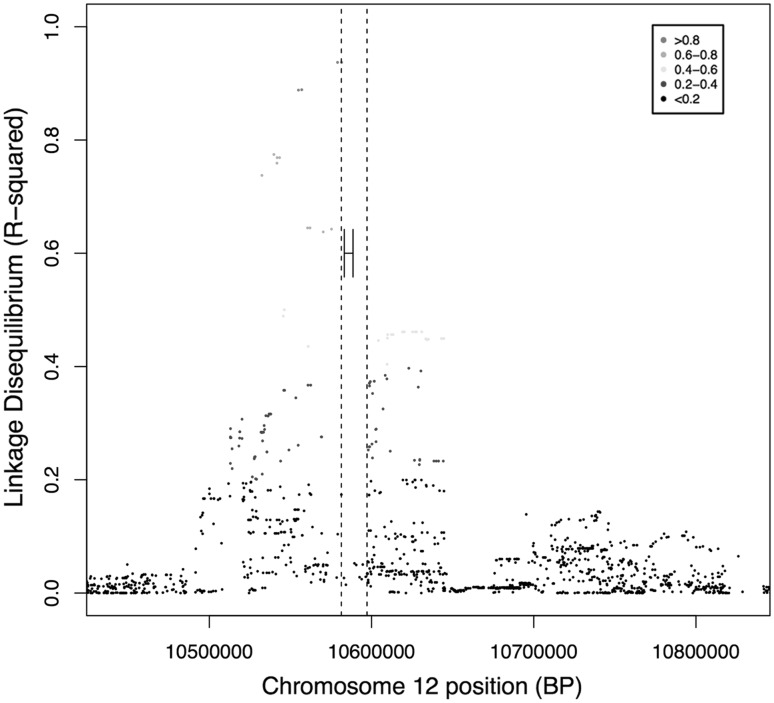 Fig. 1