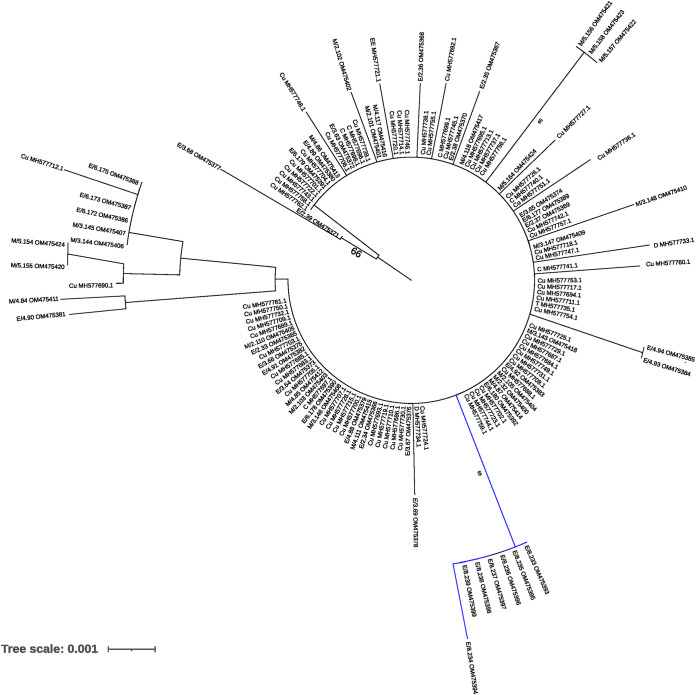 FIG 5