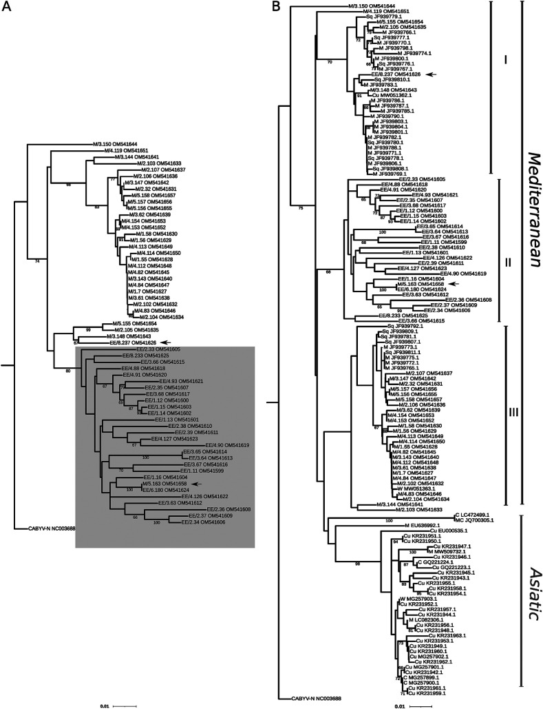 FIG 2