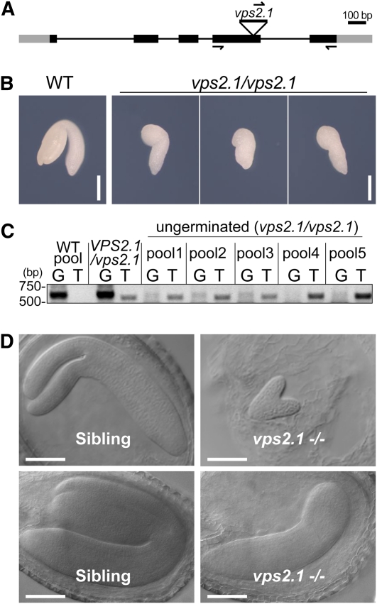 Figure 6.