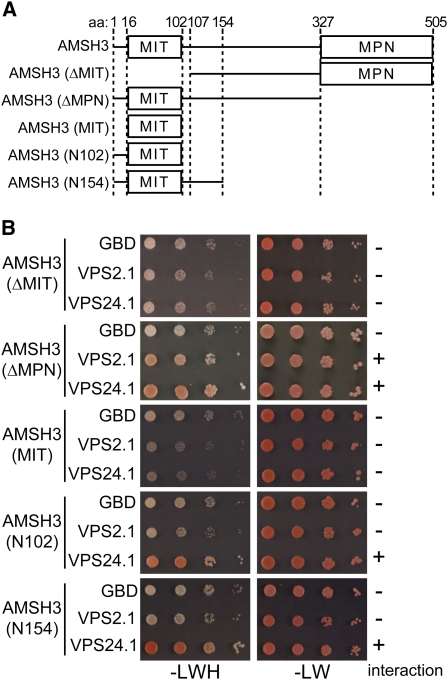 Figure 4.