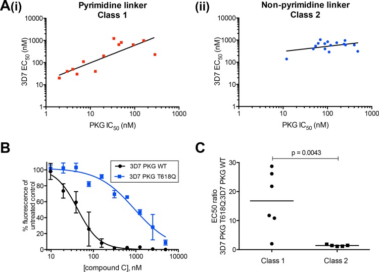 FIG 2