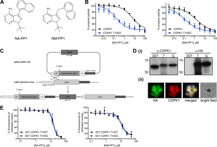 FIG 4