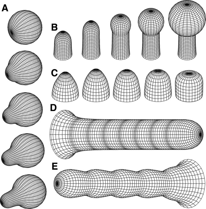 FIGURE 1: