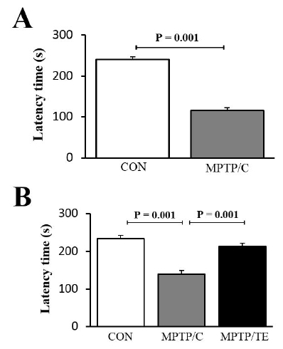 Fig.2.