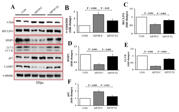 Fig.3.