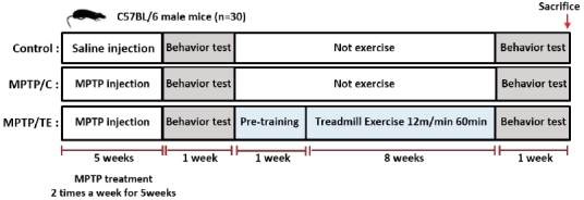 Fig.1.