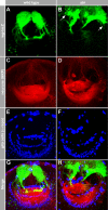 FIGURE 3: