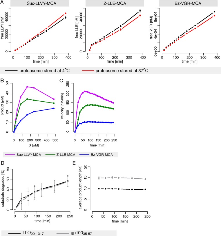 Figure 1—figure supplement 1.