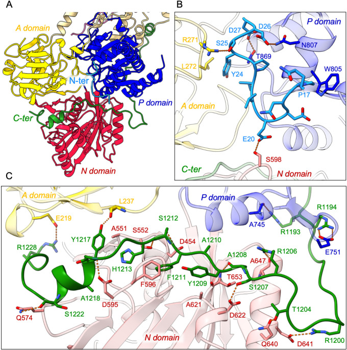 Figure 3.