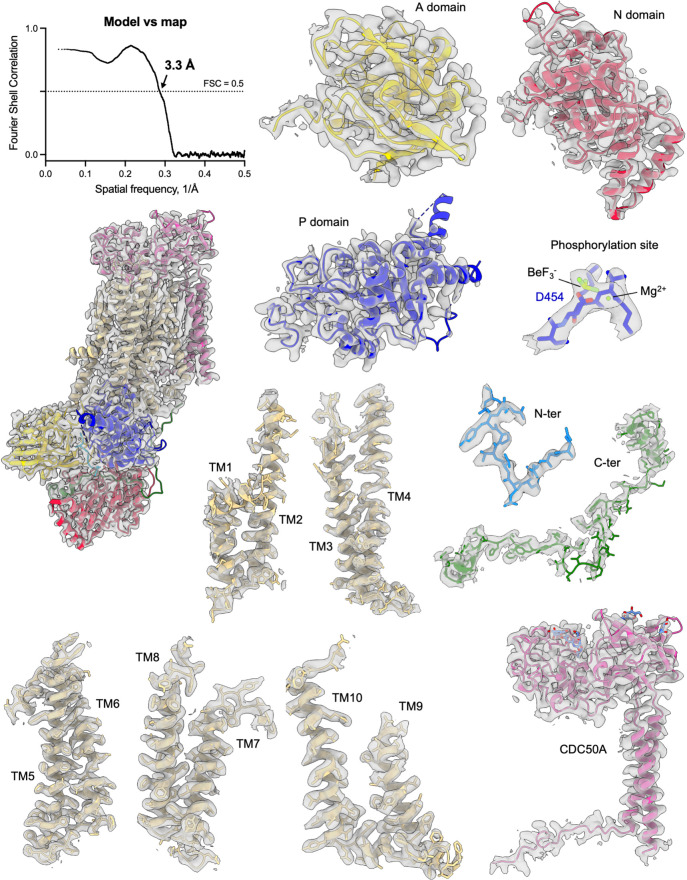 Figure 2—figure supplement 2.