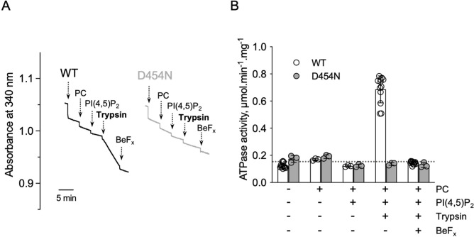 Figure 4—figure supplement 3.