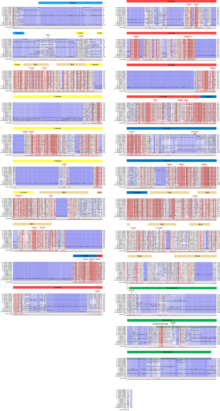 Figure 4—figure supplement 1.