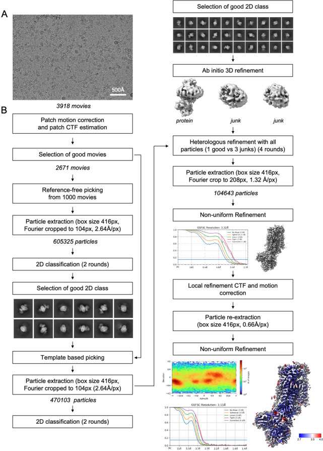 Figure 2—figure supplement 1.