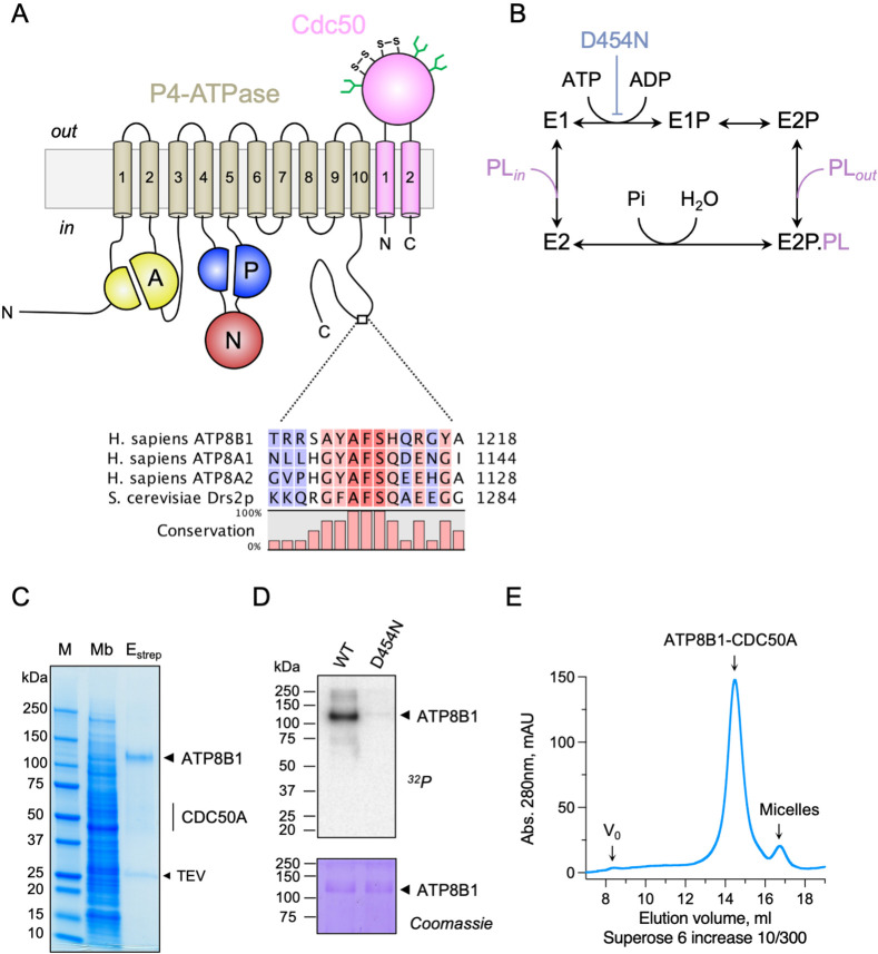 Figure 1.