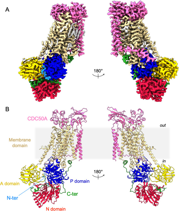 Figure 2.