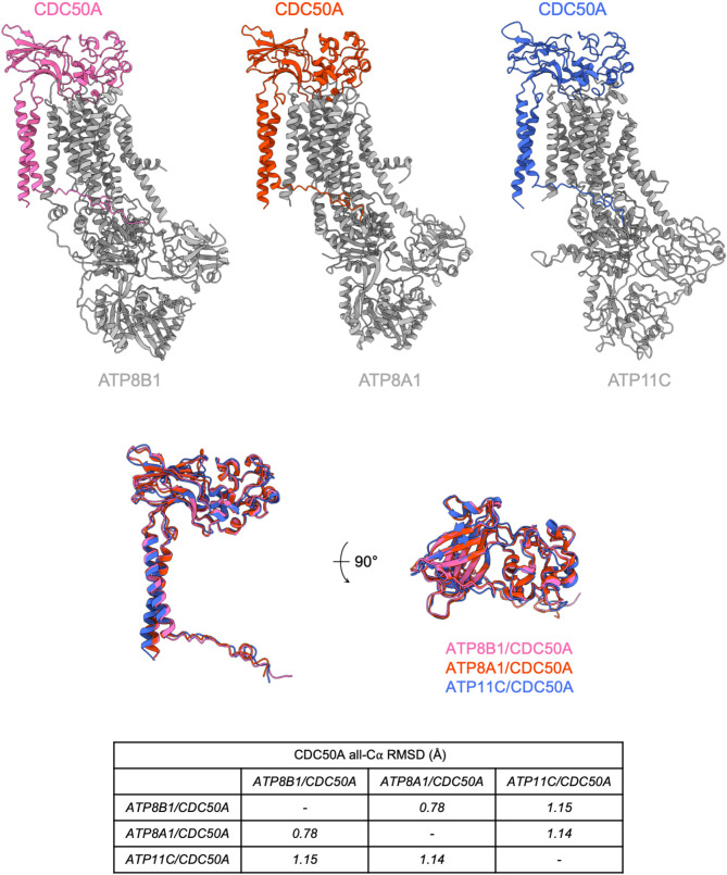 Figure 2—figure supplement 3.