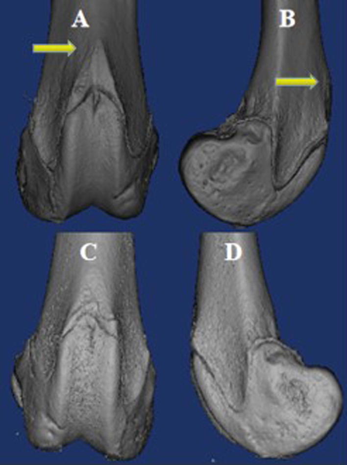 Fig. 5