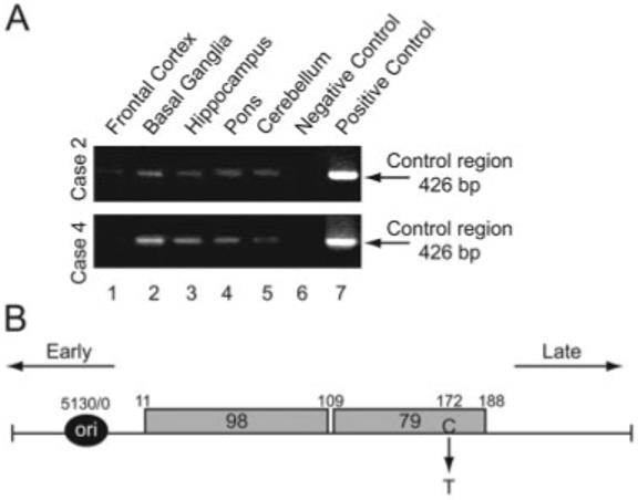 Fig 5