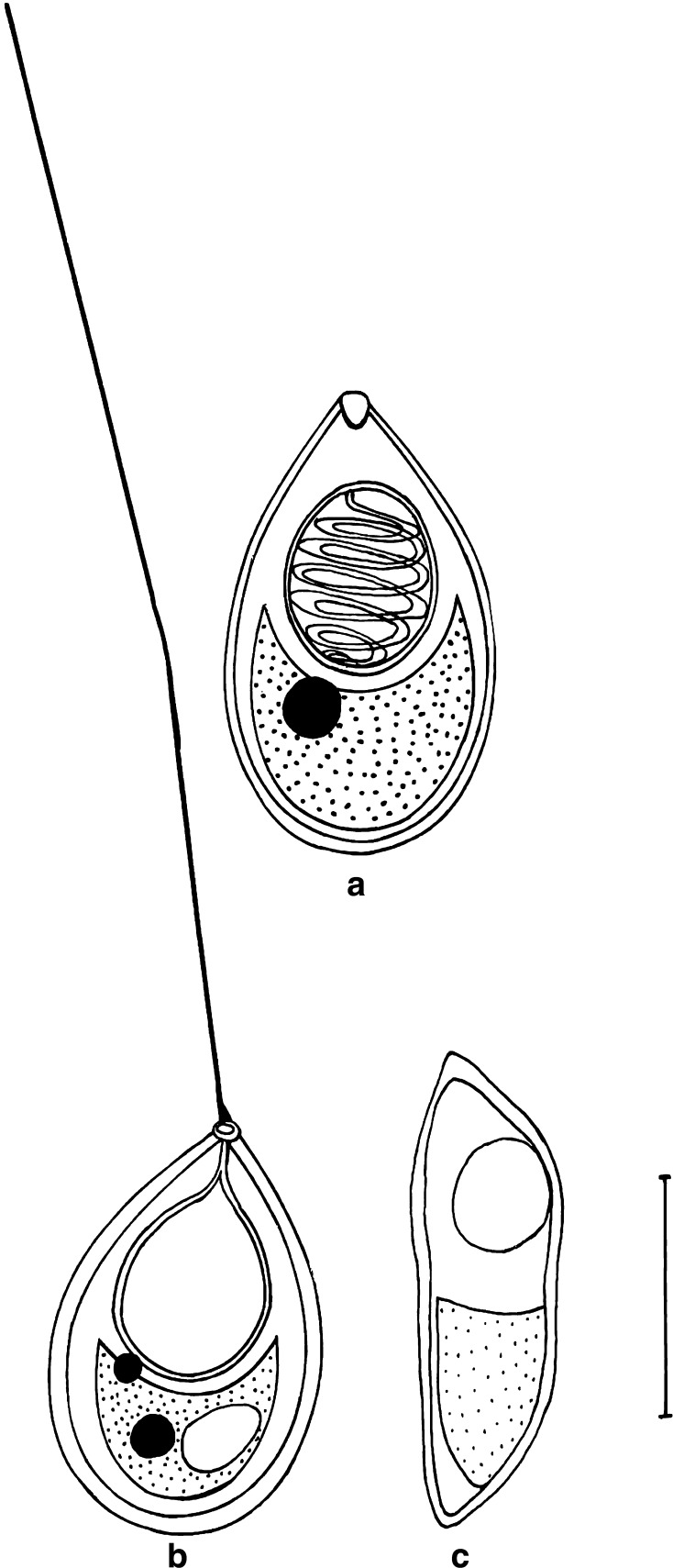 Fig. 7