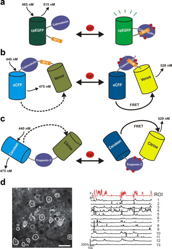 Figure 2.