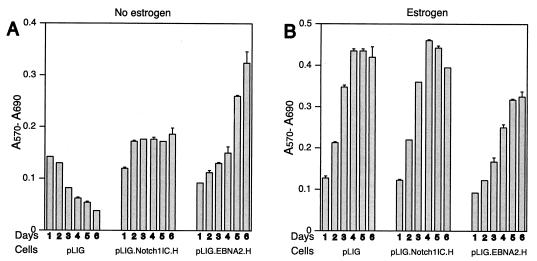 FIG. 7