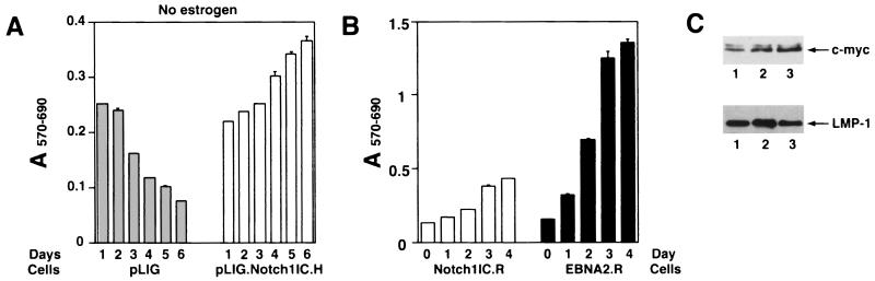 FIG. 9