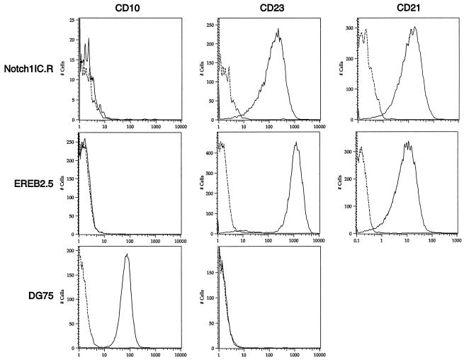 FIG. 10