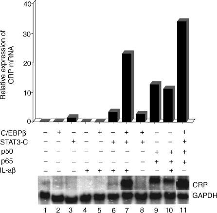 Figure 6