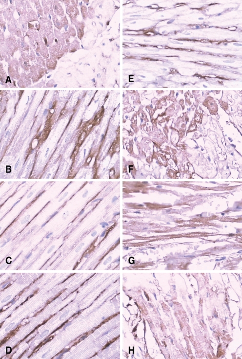 Figure 2)