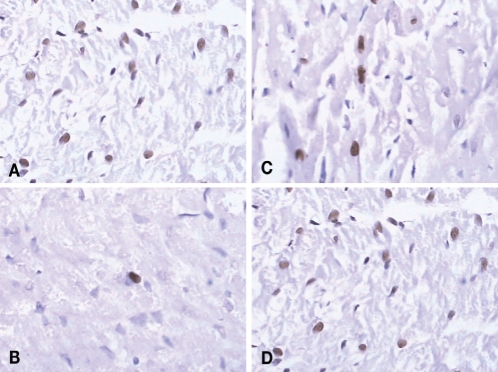 Figure 1)