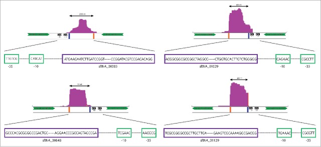 Figure 5.